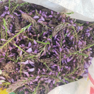 葛花
