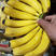 🔥🔥精品香蕉货源充足(放心采购)价格便宜保障质量