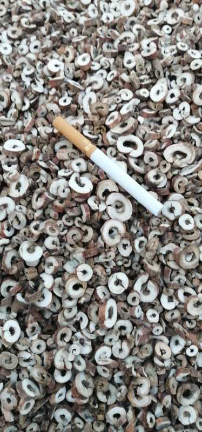 丹皮牡丹皮产地直销批发各种中药材量大从优
