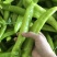 螺丝椒,龙椒,寿光蔬菜,源头供应,货源充足