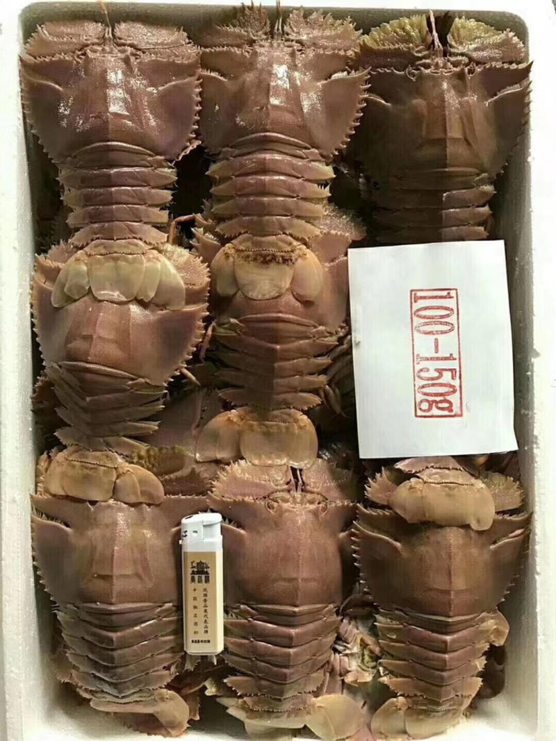 琵琶虾排虾九齿虾蝴蝶虾新鲜冷冻海虾一手货源