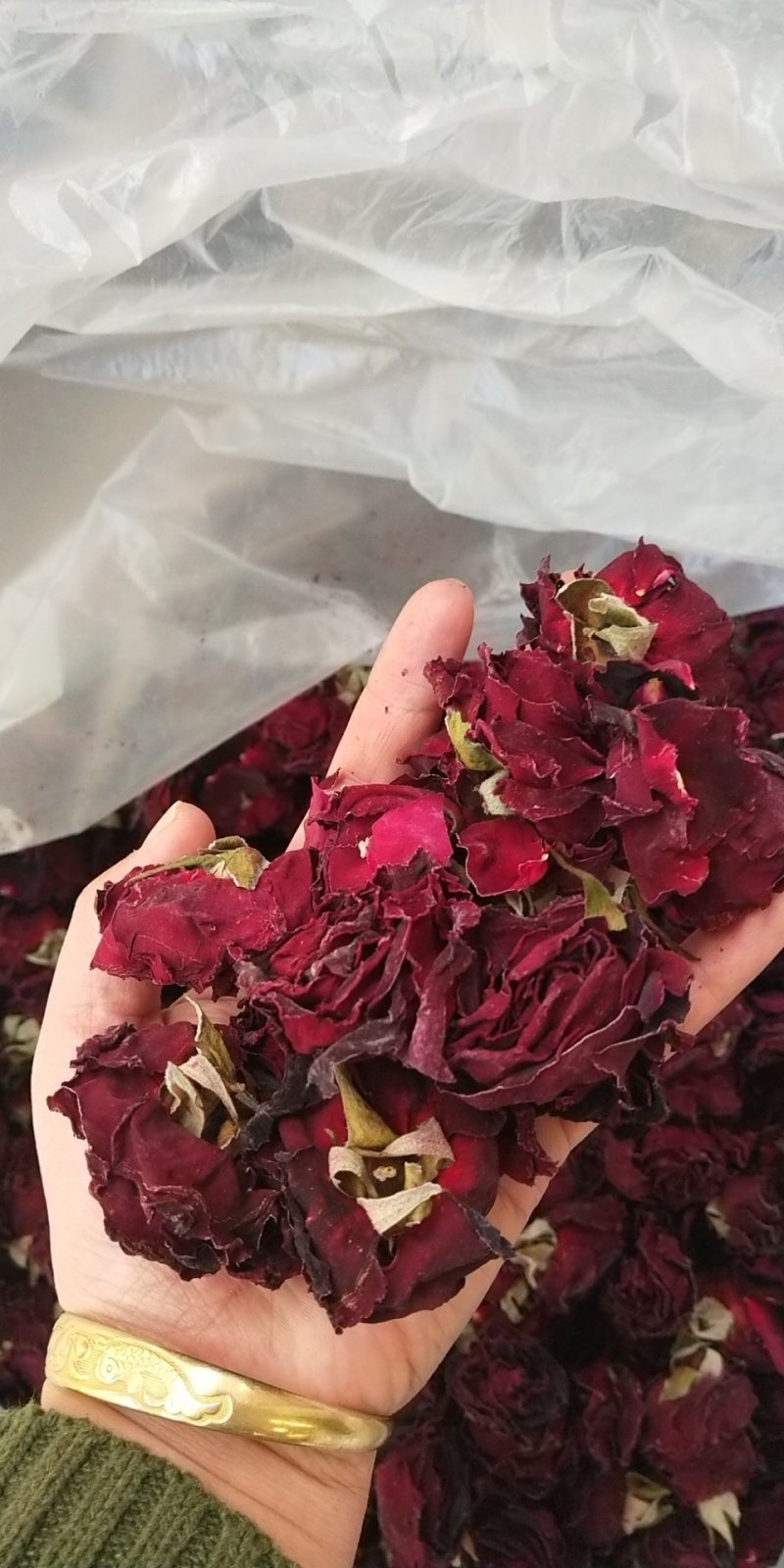 墨红玫瑰产地货源批发