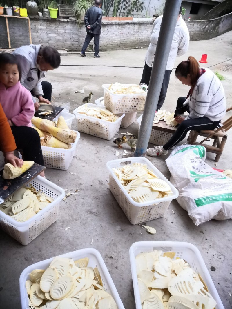 干货楠竹笋玉兰片干竹笋