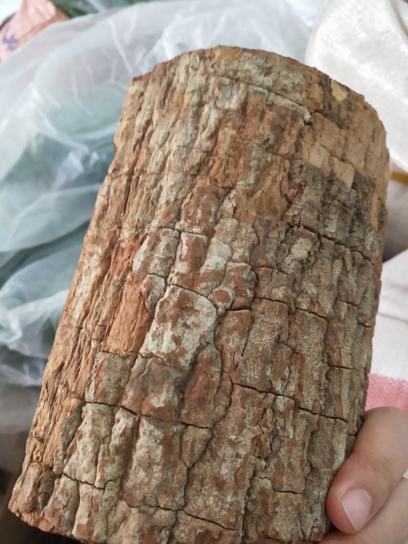 安哥拉进口卡宾达树皮