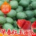 《包熟包甜》《西瓜》包熟包甜《红玉西瓜》《早春红玉西瓜》