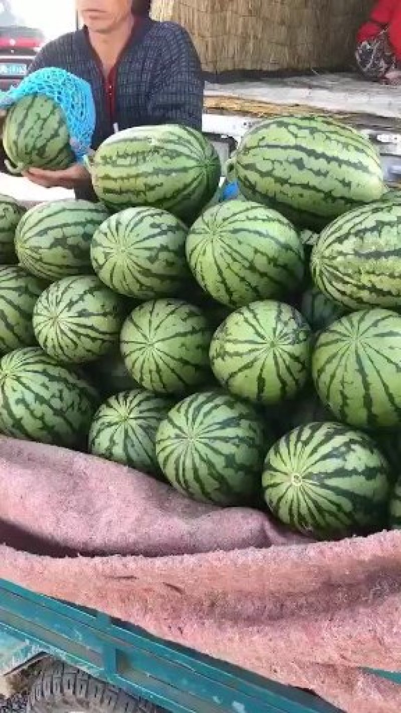 《包熟包甜》《西瓜》包熟包甜《红玉西瓜》《早春红玉西瓜》