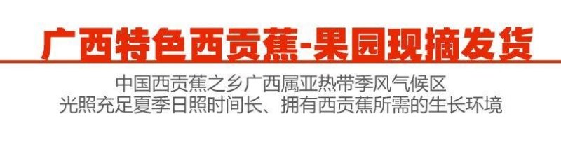 广西农家新鲜西贡蕉粉蕉，产地直销，七成熟