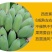 广西农家新鲜西贡蕉粉蕉，产地直销，七成熟