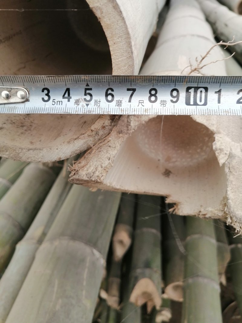 大量出售各种竹竿