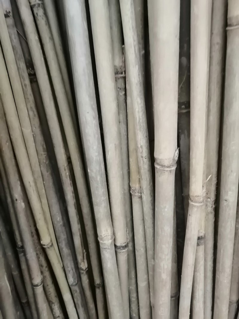 大量出售各种竹竿