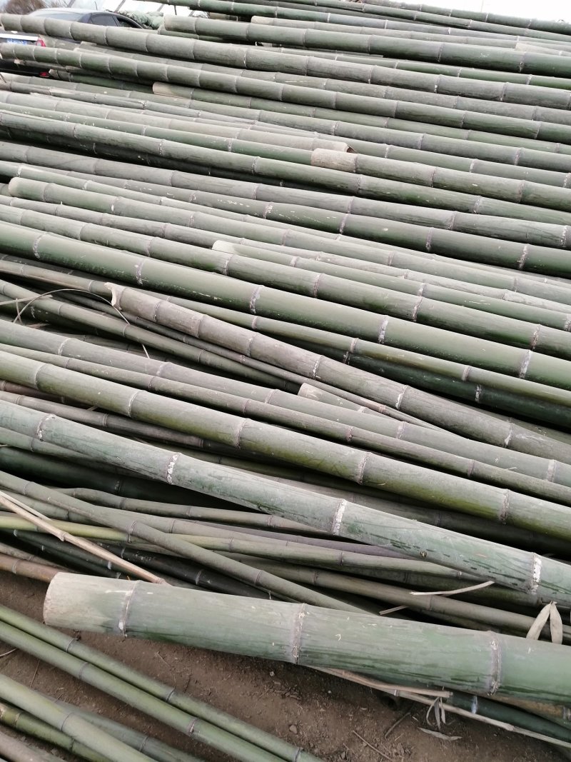 大量出售各种竹竿