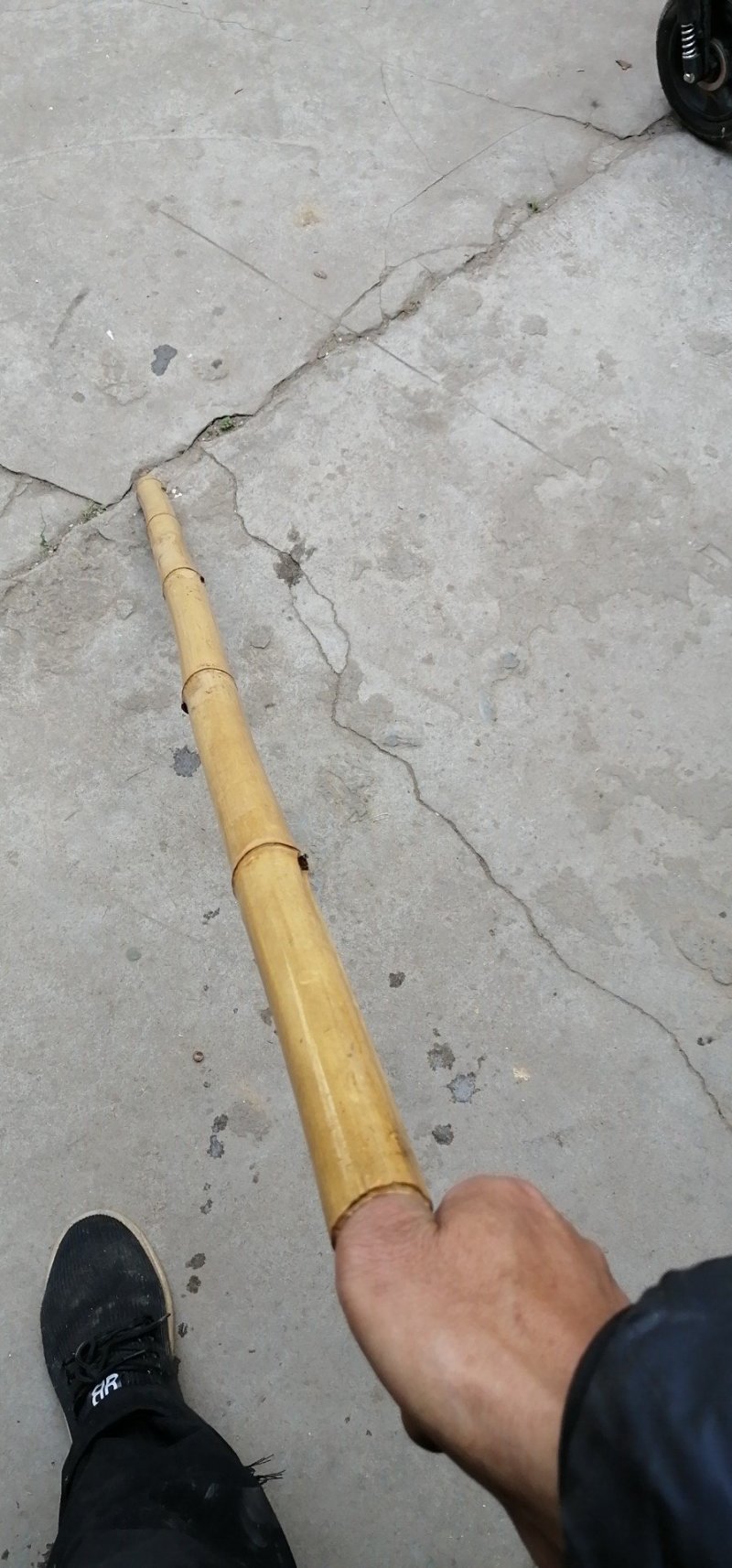 大量出售各种竹竿