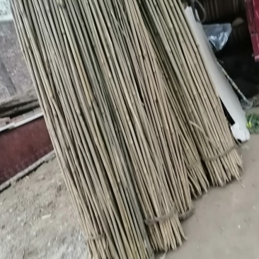 大量出售各种竹竿