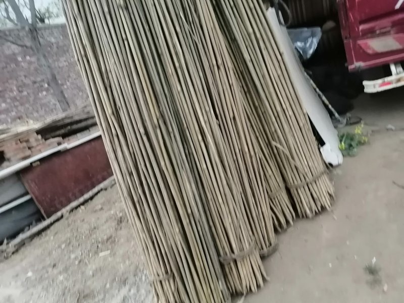 大量出售各种竹竿