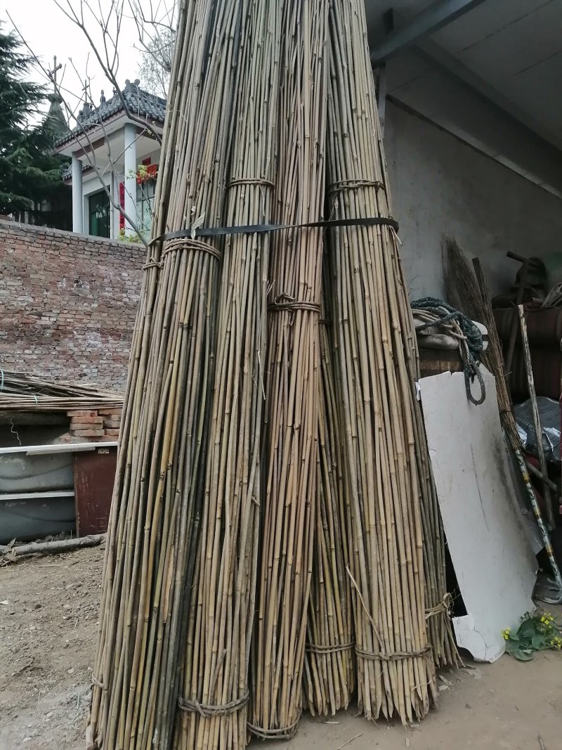 大量出售各种竹竿