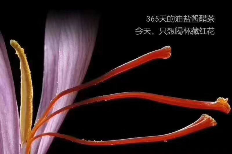 伊朗藏红花长条带礼盒一盒净重5克包邮