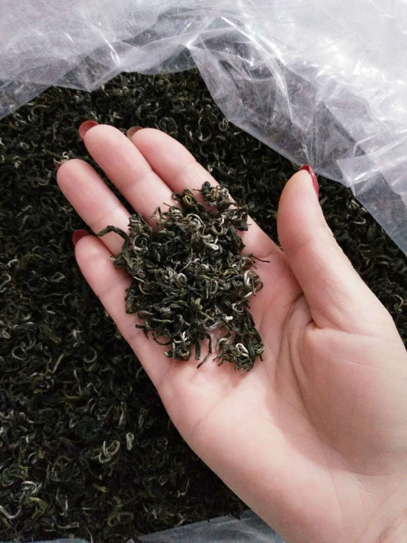 莽山绿茶高山云雾茶2022明前新春茶