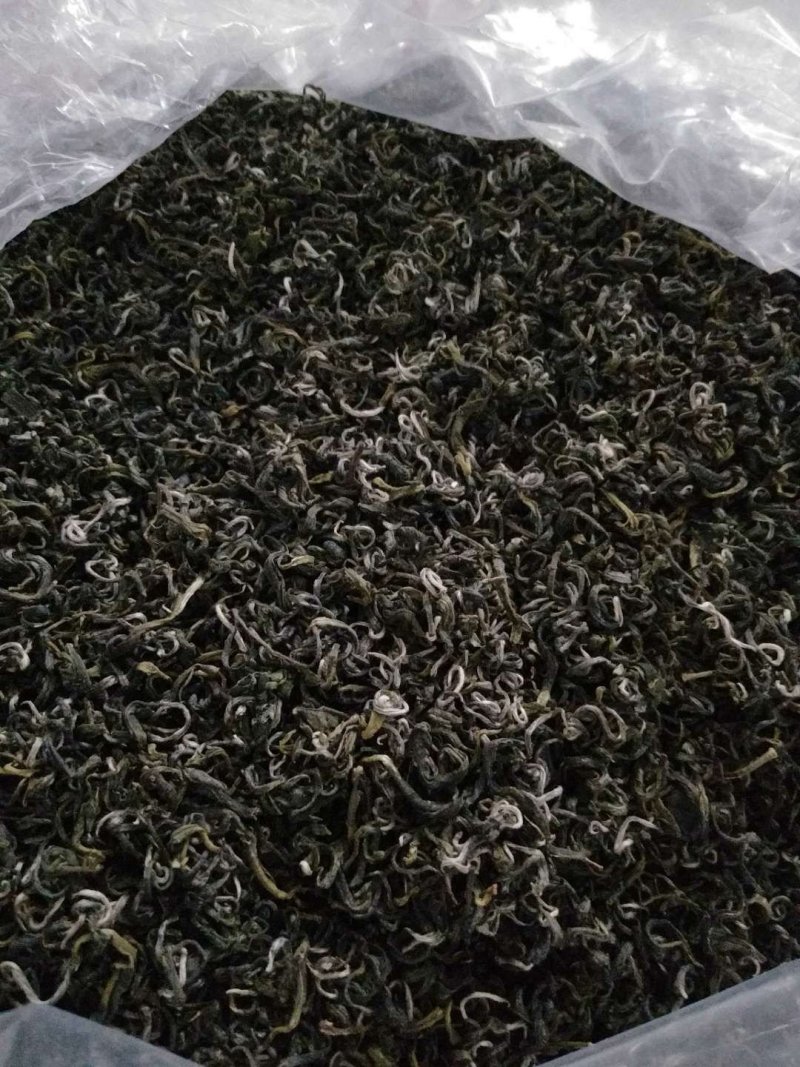 莽山绿茶高山云雾茶2022明前新春茶