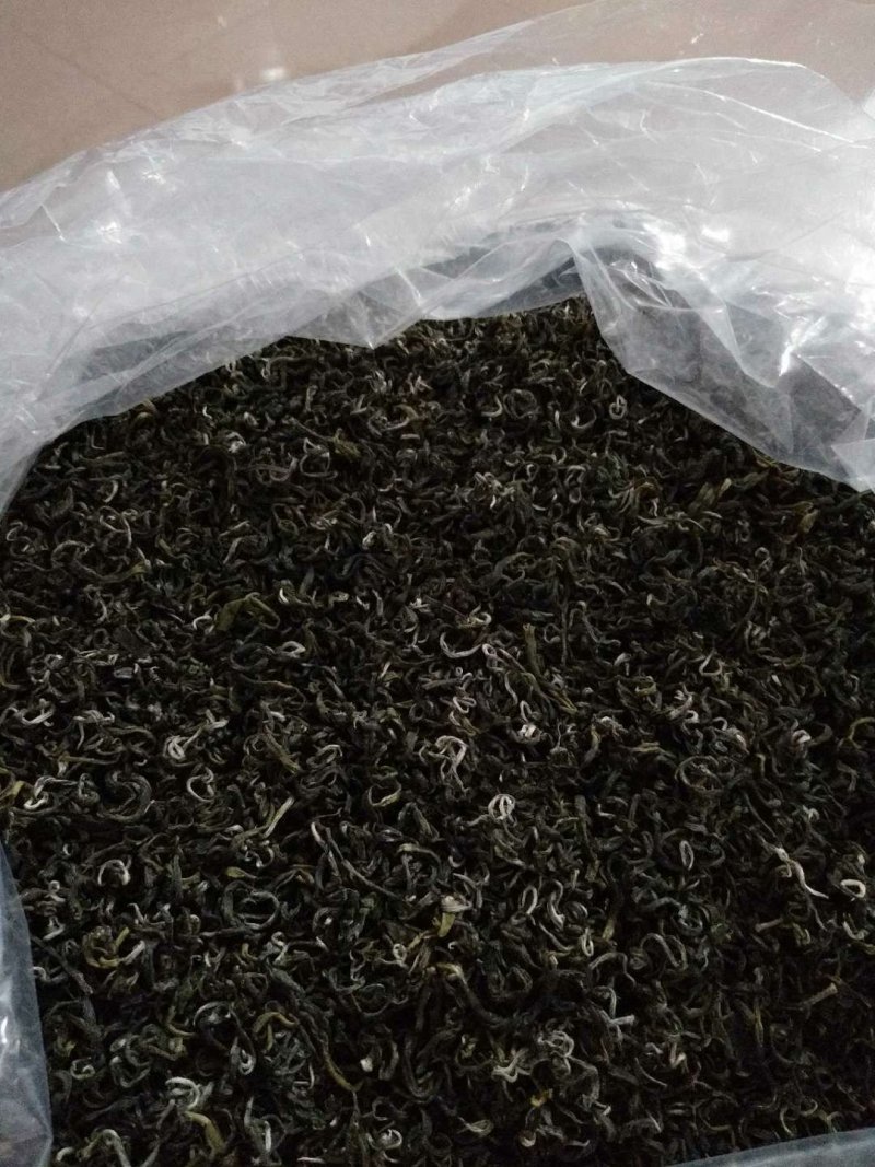 莽山绿茶高山云雾茶2022明前新春茶