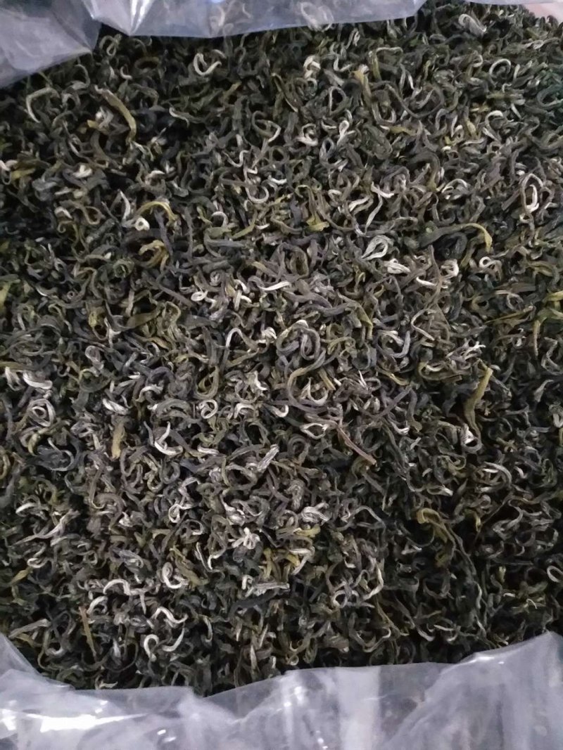 莽山绿茶高山云雾茶2022明前新春茶