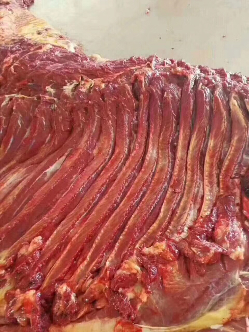 【驴肉肋条】大块驴肉质量好颜色鲜块大