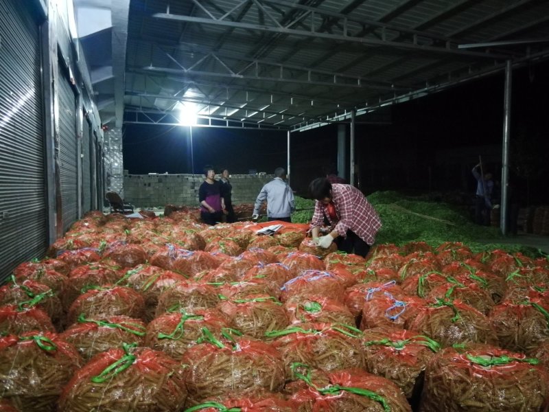 【牛商推荐】豌豆襄阳精品青豌豆已大量上市欢迎来电