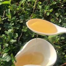 现货桂圆蜂蜜1000g/瓶农家土特产密封罐装龙眼土蜂蜜