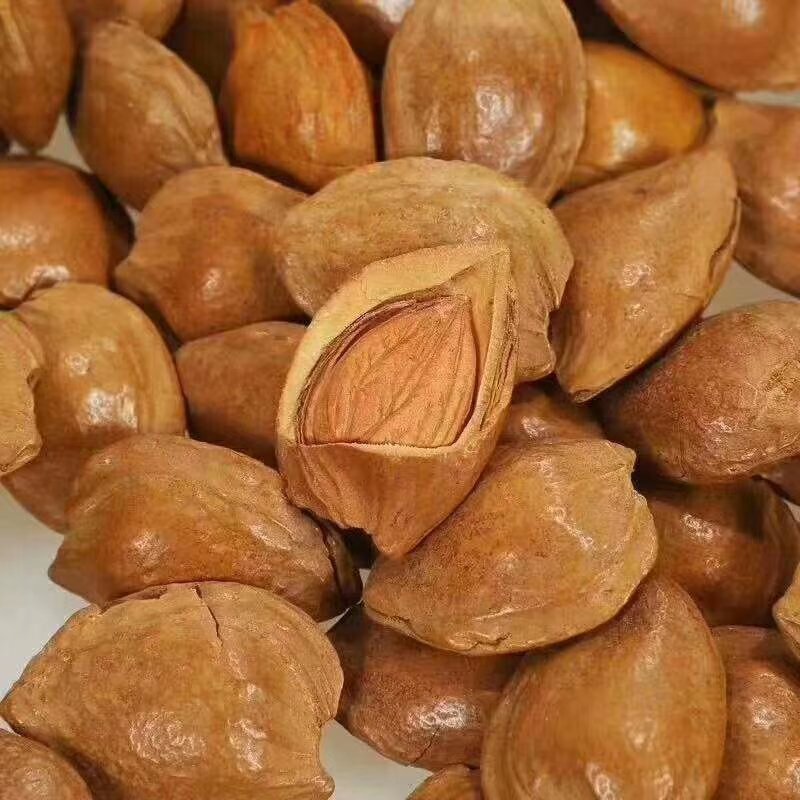 开口杏核杏仁，一首货源，没有中间商差价，