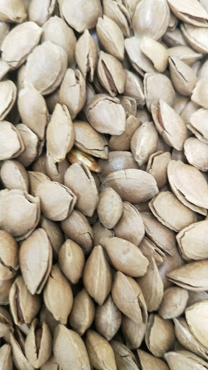 开口杏核杏仁，一首货源，没有中间商差价，