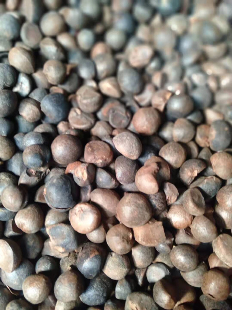 精选好货，优质山茶油，新鲜上市，自产自销，欢迎老板咨询，