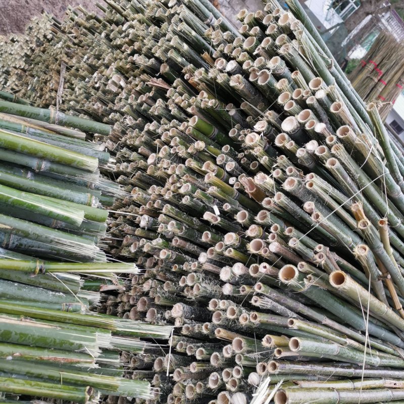 【强烈推荐】2.5米3米菜架竹豆角架山药架