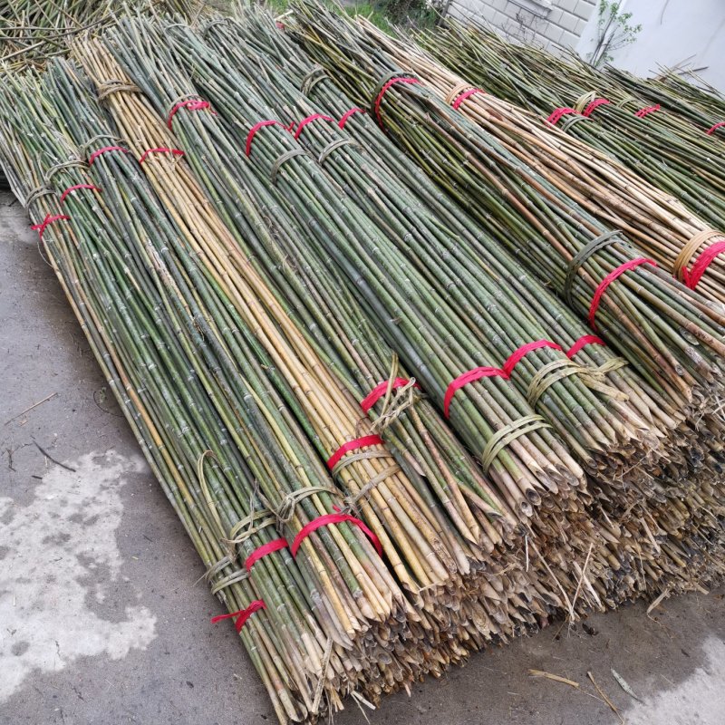 【强烈推荐】2.5米3米菜架竹豆角架山药架