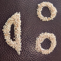 预订2024新货苏丹一级白芝麻，起订量28吨的倍数