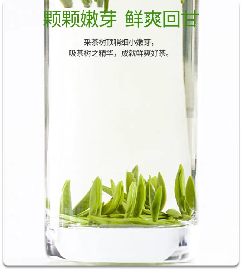 富硒鹤峰香润茶叶春茶芽茶袋装多规格