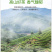 富硒鹤峰香润茶叶春茶芽茶袋装多规格