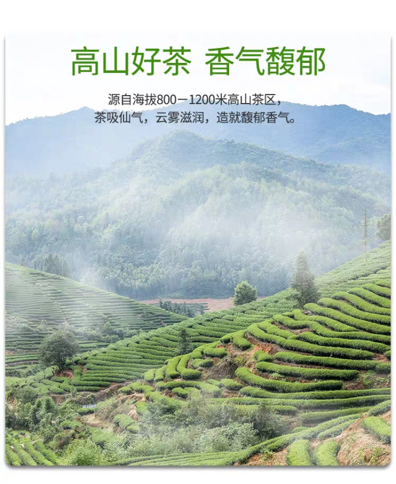 富硒鹤峰香润茶叶春茶芽茶袋装多规格