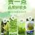 富硒鹤峰香润茶叶春茶芽茶袋装多规格