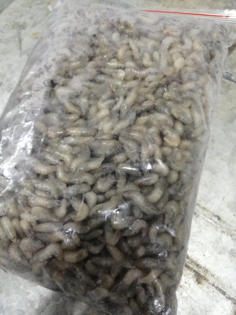 观赏鱼食料
