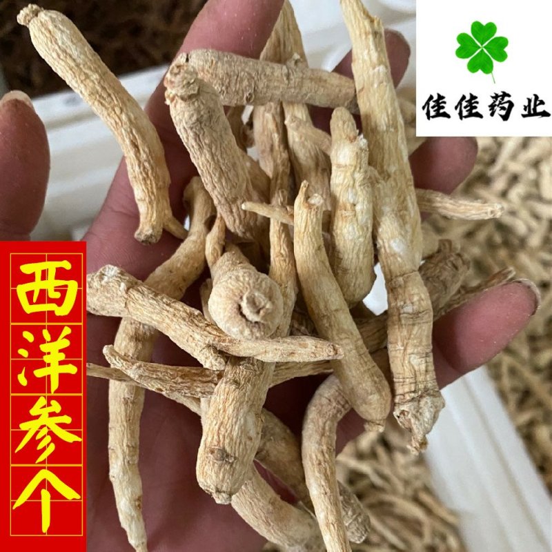 西洋参个纯干货产地直销看规格下单包邮佳佳药业