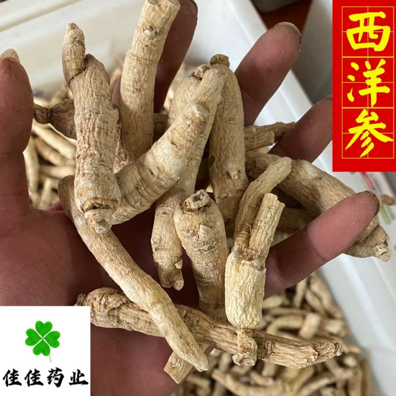 西洋参个纯干货产地直销看规格下单包邮佳佳药业