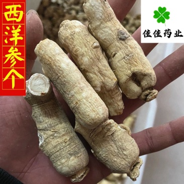西洋参个纯干货产地直销看规格下单包邮佳佳药业