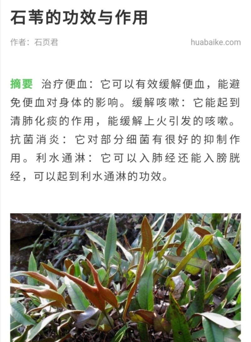石伟，新货太阳晒干