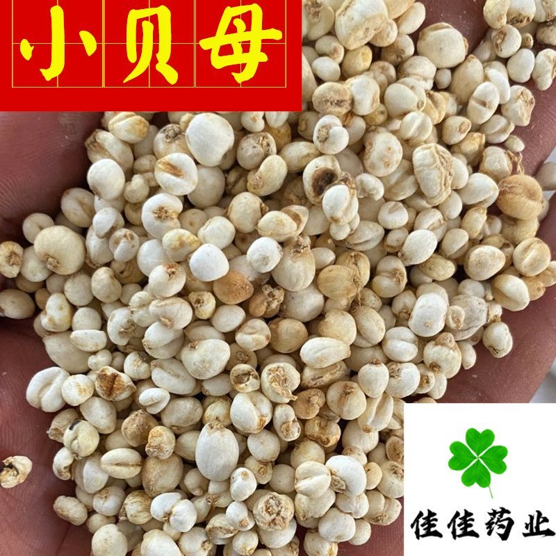 佳佳药业供应小贝母0.5和1.0选货供应各种中药材