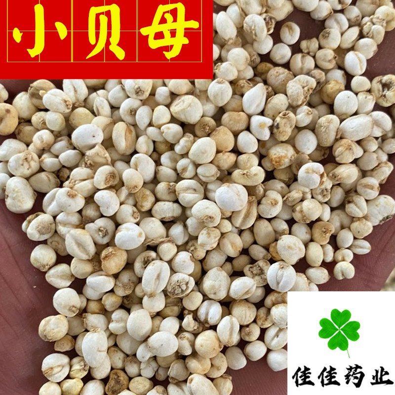 佳佳药业供应小贝母0.5和1.0选货供应各种中药材