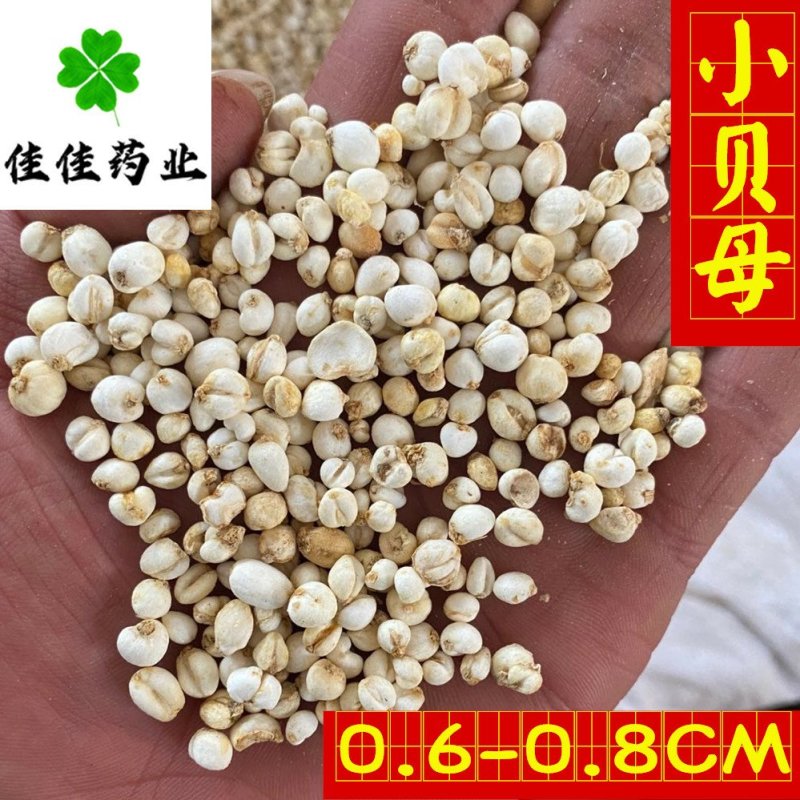 佳佳药业供应小贝母0.5和1.0选货供应各种中药材