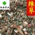辣蓼供应各种中药材辣蓼草辣廖佳佳药业中草药
