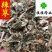 辣蓼供应各种中药材辣蓼草辣廖佳佳药业中草药