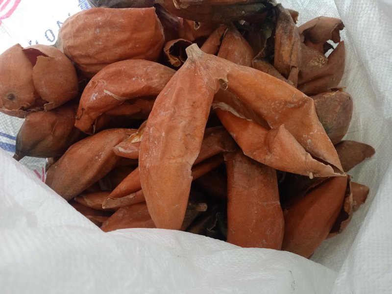 特大号！瓜蒌籽！瓜蒌仁！