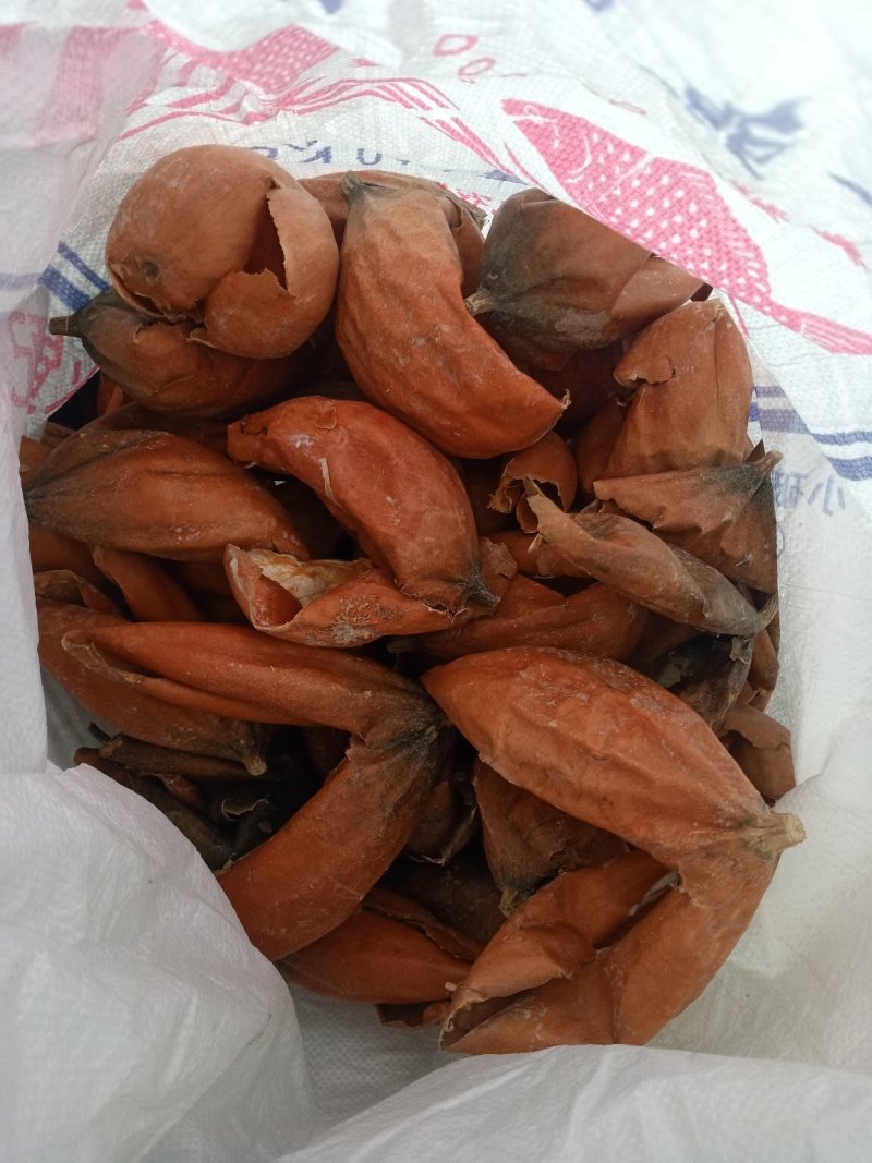 特大号！瓜蒌籽！瓜蒌仁！