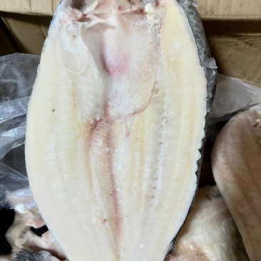 巴沙鱼2斤一条大巴沙鱼20斤一件